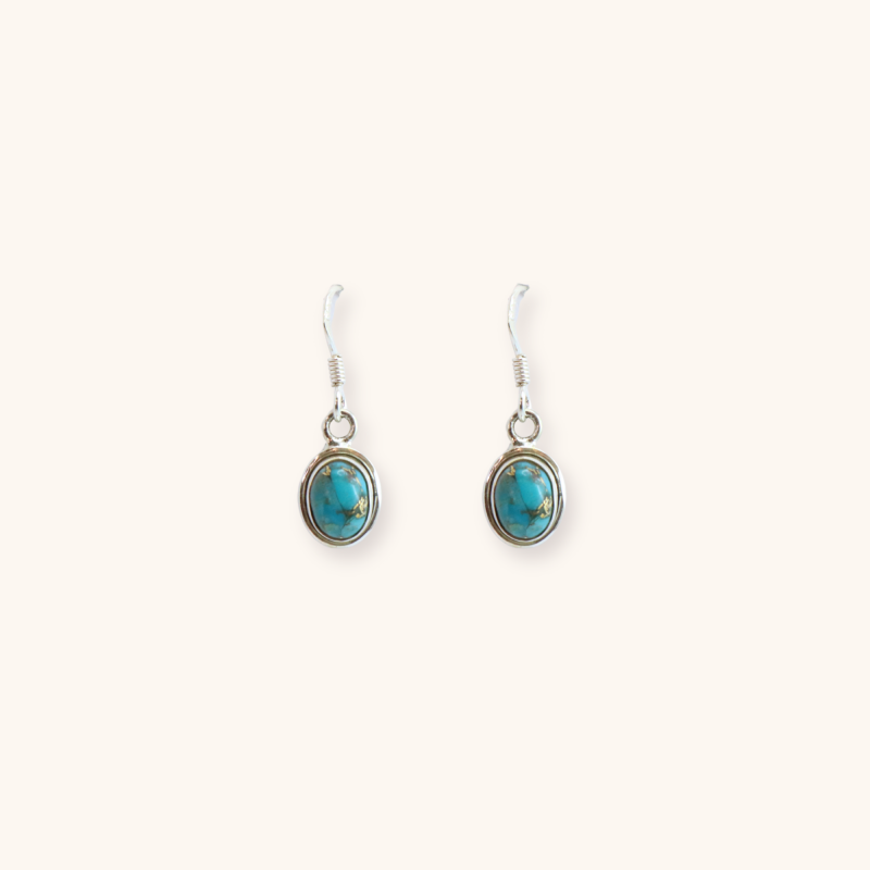 Boucles hameçon turquoise rondes - Argent